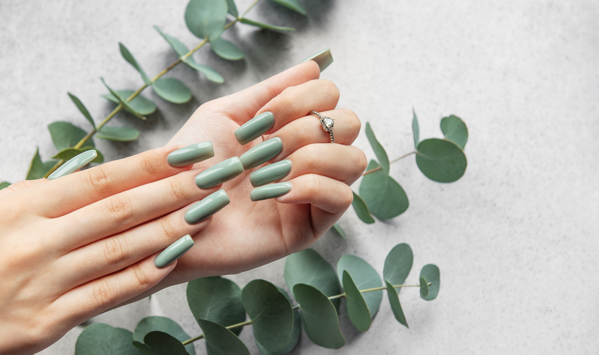 Elegant green manicure with long nails surrounded by eucalyptus leaves in a minimalist setting